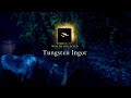 Tungsten Ingot wealth treasure chest at Cnuic Fhada Ruins! Assassin’s Creed Valhalla!