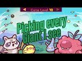 Forest Heroes Pro Gameplay | Curse 10 | Boarmaxxing™