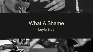 Leyla blue - What a Shame (Acoustic / Lirik dan Terjemahan)