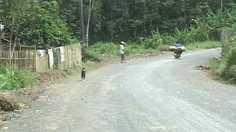 Applied Geotagging Technology: DA-MRDP