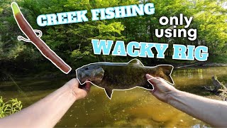 Wacky Rig Smallmouth Fishing