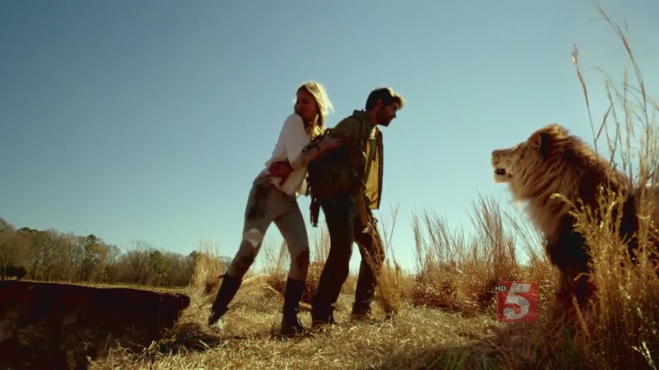 New Cbs Show Zoo Youtube