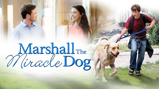 MARSHALL THE MIRACLE DOG - Official Movie Trailer