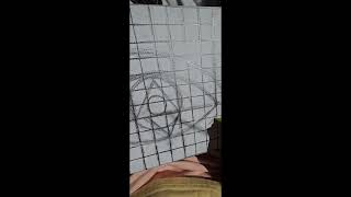 WARM UP NUMBER 3 QUICK SKETCHING AND PAINT OUTLINE 