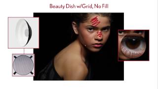 Celebrity Michael Corsentino - Get Your Beauty On: The Anatomy of Clamshell Lighting Net Worth