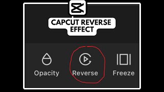 Reverse Video MAGIC in CapCut | Capcut Reverse Effect screenshot 4