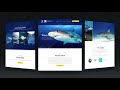 portfolio-shark