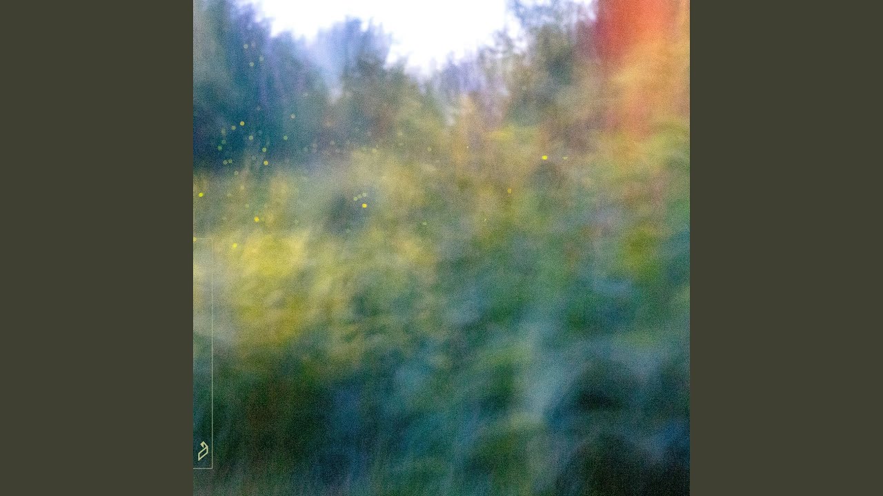 Ver fireflies (for as far as we could see) en YouTube