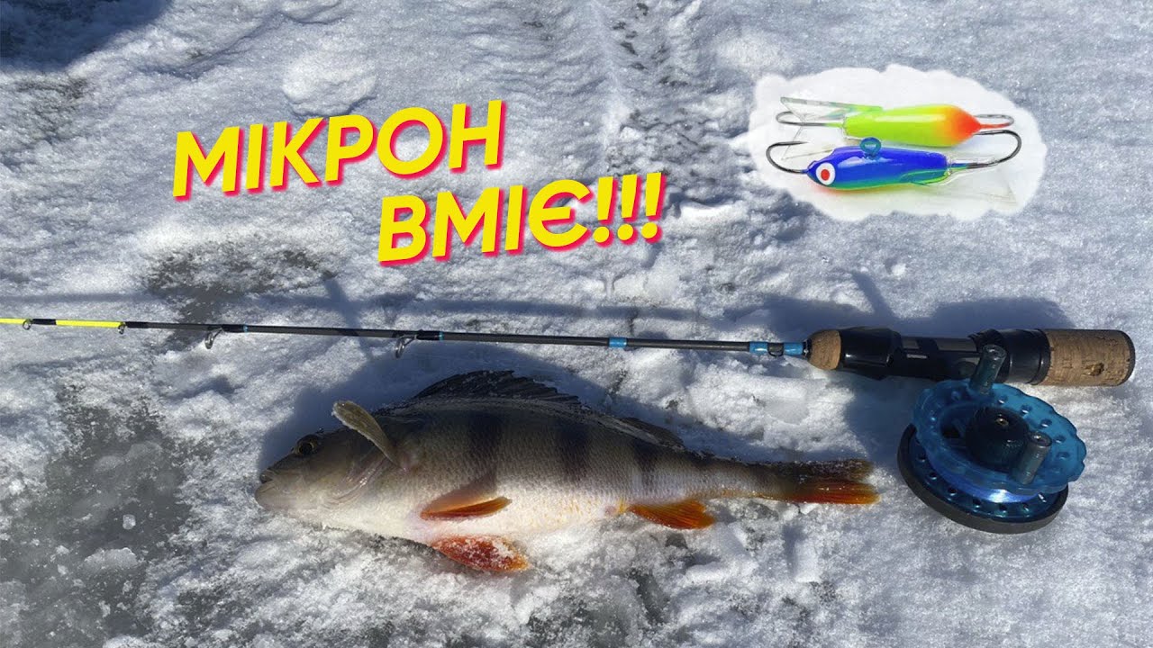 МІКРОН РЯТУЄ РТИБОЛОВЛЮ✅ЗНАЙШЛИ КАМЕРОЮ ЦІЛУ КУПУ пасивного ОКУНЯ🐬🐬🐬