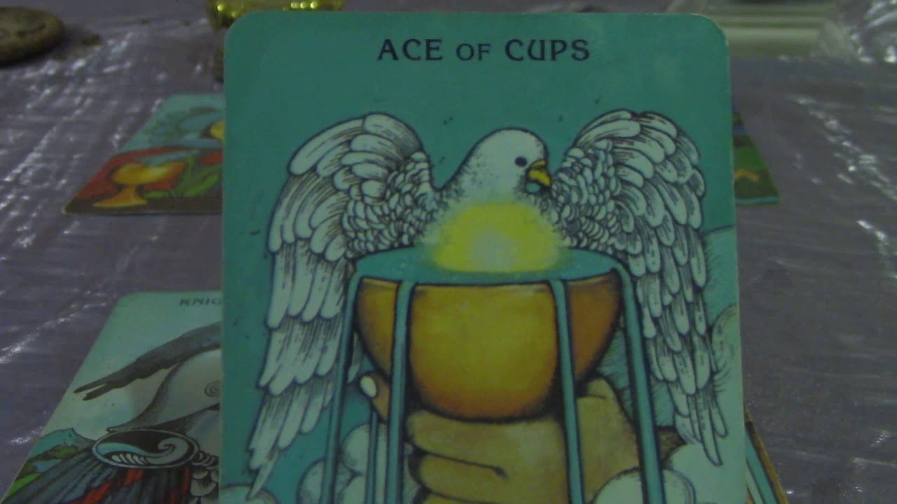 Virgo September 2019 Love Tarot Reading