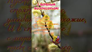 Нынче вербное воскресенье #открытка #песня #поздравление