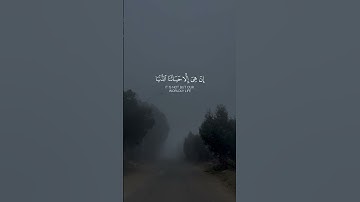 ولئن أطعتم بشرًا مثلكم إنكم إذا لخاسرون 🤍 #سورة_المؤمنون #ياسر_الدوسري #quran #قرآن #quran_kareem