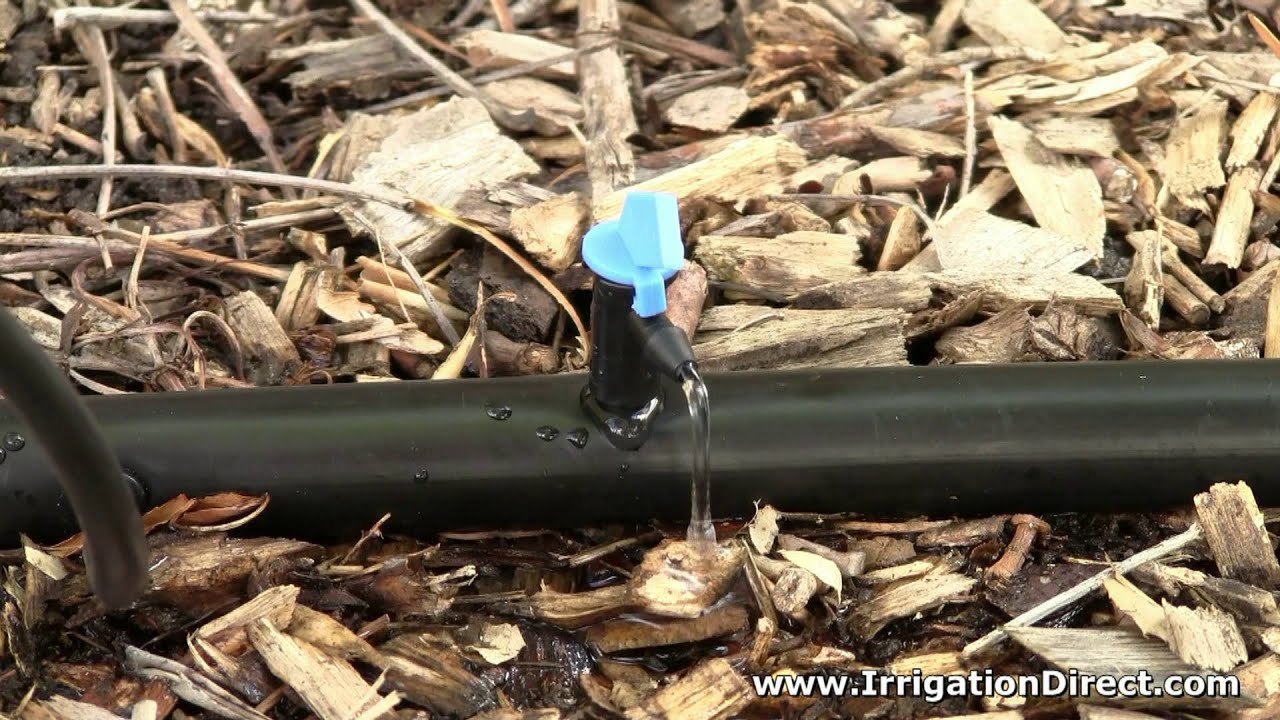 Drip Irrigation Non Pressure Compensating Flag Emitter 2 GPH YouTube