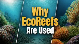 Why We Are Using EcoReefs to Fix Damaged Water Systems