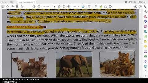 class 4 science ch 9 animals and their young ones part 1