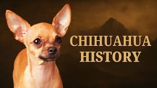 Chihuahua History: Ancient Mystery Revealed