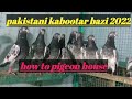 Pakistani kabootar bazi 2022  how to pigeon house