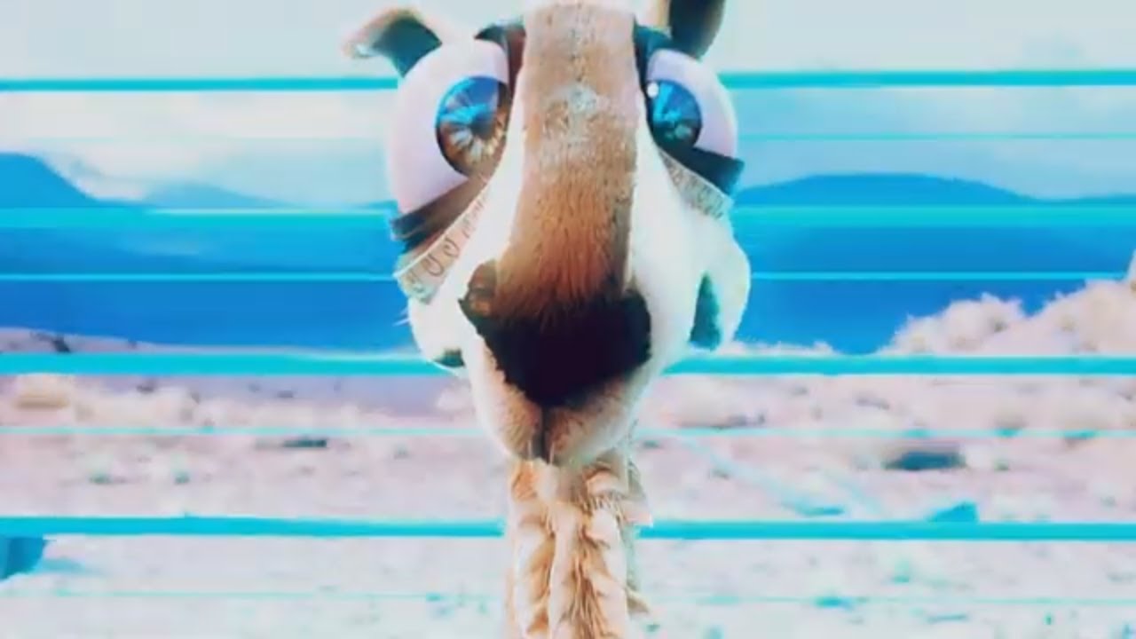 Caminandes 2 Blender Animated Short film Blender YouTube