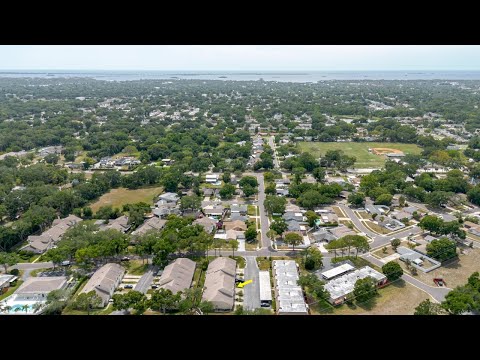 682 Green Valley Rd, Palm Harbor, FL home video tour
