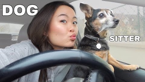 VLOGMAS 3: DOGSITTER PENDANT 24H