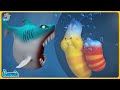  larva season 6 full episode shark game  cartoon comic  hilarious cartoon compilation