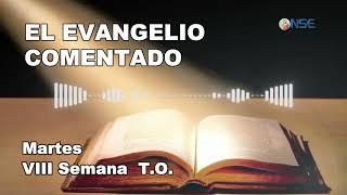 El Evangelio comentado 28 de Mayo by nsetvradio 1,533 views 9 days ago 5 minutes, 41 seconds