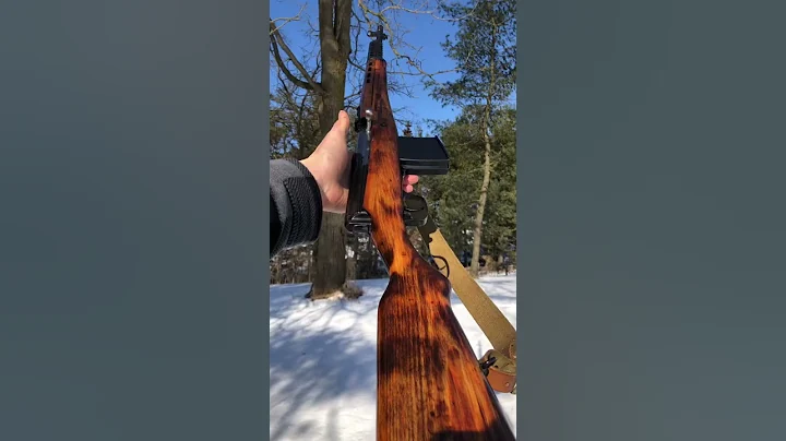 1941 Russian Svt40 chambered in 7.62x54r - DayDayNews