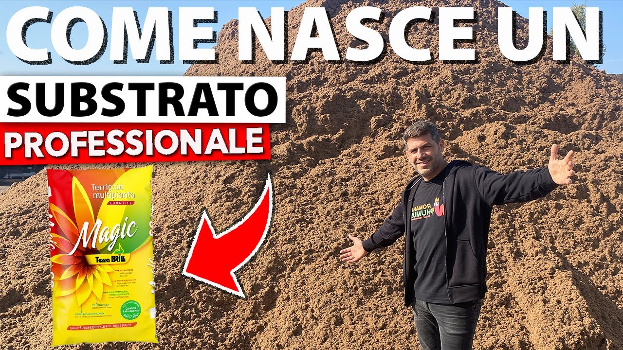 Imbucato in Agrochimica: Come Nasce un Substrato Professionale