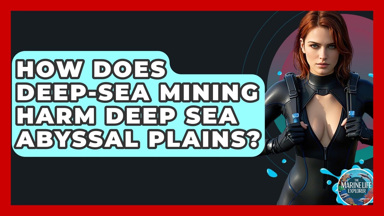 How Does Deep-sea Mining Harm Deep Sea Abyssal Plains? - The Marine Life Explorer