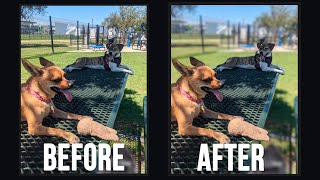 How to Use the Windows Photo App Blur Background Tool screenshot 2