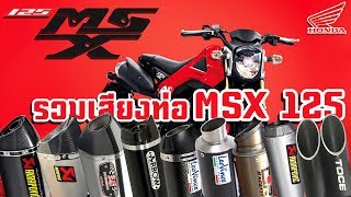 ท่อ MSX125 รวมเสียงท่อยอดนิยม MSX125 Exhaust