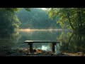 All-Day Zen: 24/7 Live Relaxation Music, Peaceful Sounds, Meditation Aid