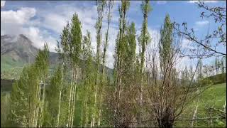 картинка: Файзобод, мискинобод, муминобод, гултепа, сарой, обшорон,фатхобод.