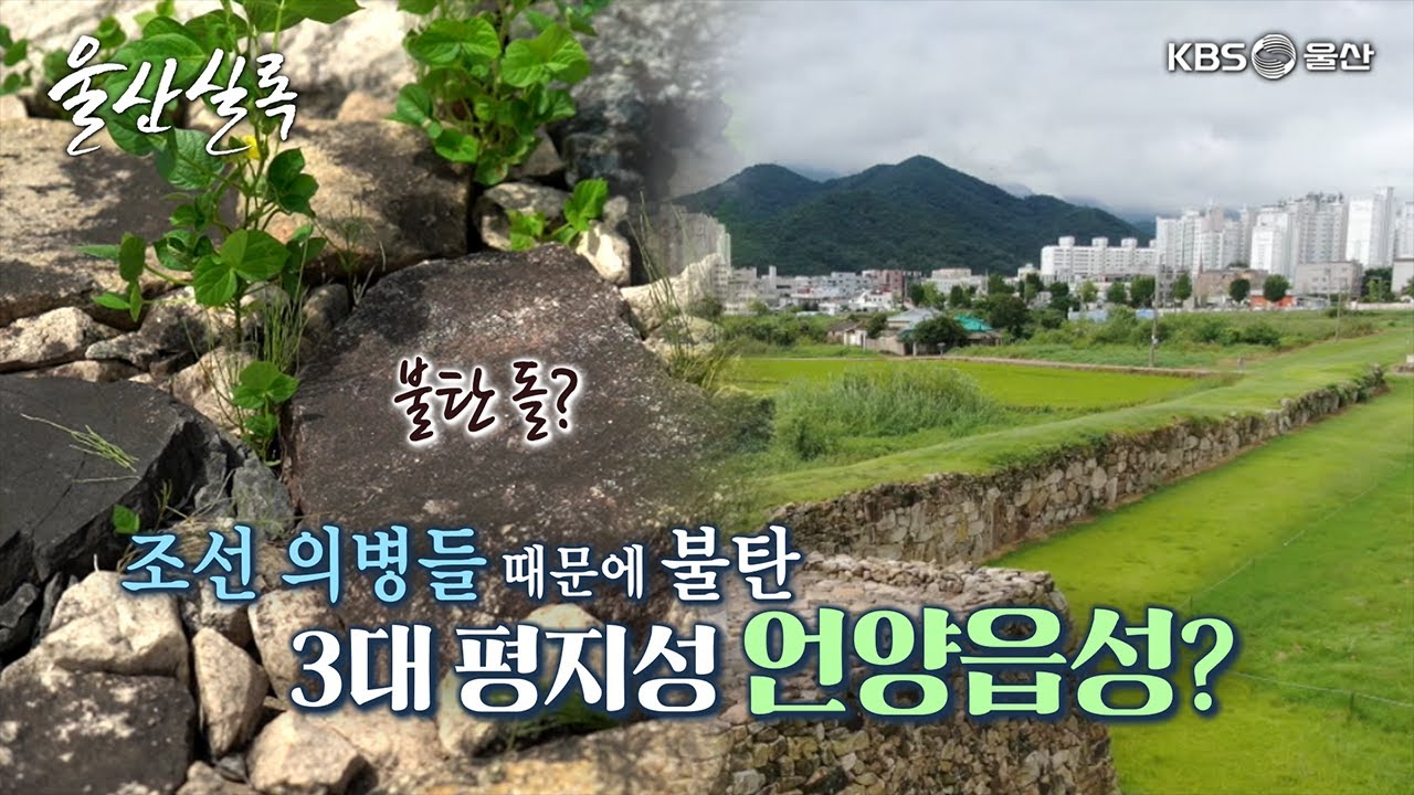 조선 대표 평지성 언양읍성 [KBS울산 보물창고 - 울산실록] 23.09.12 방송
