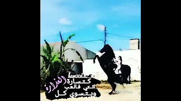دحية الخيل انتي فالعب كتسارة 