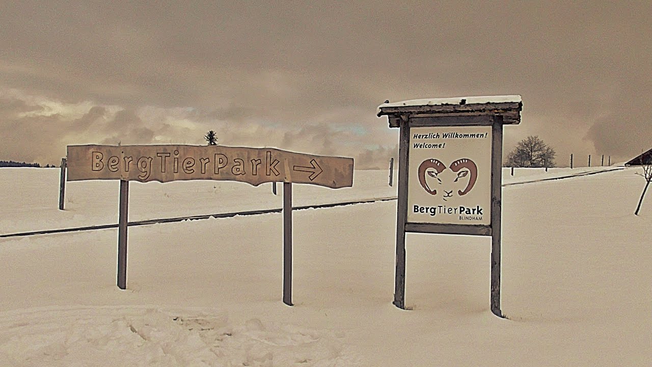 Bergtierpark Blindham im Winter