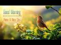 POWERFUL MORNING MUSIC - Wake Up with Positive Healing Thoughts & Energy - Morning Meditation Music
