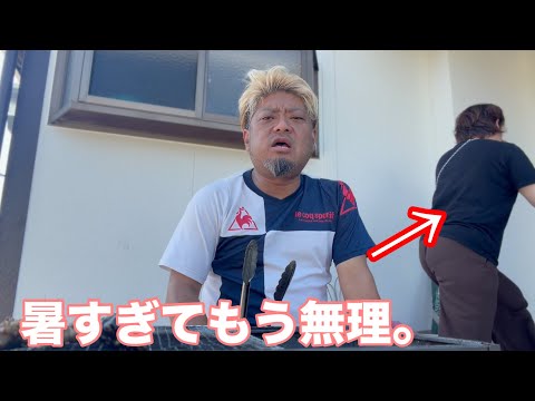 かえるファミリー【エブリディ】/ frog family everyday - YouTube