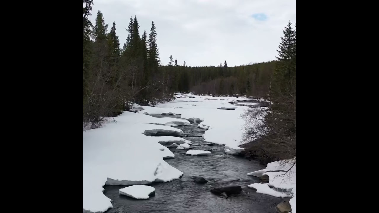Spring in the Swedish wilderness
