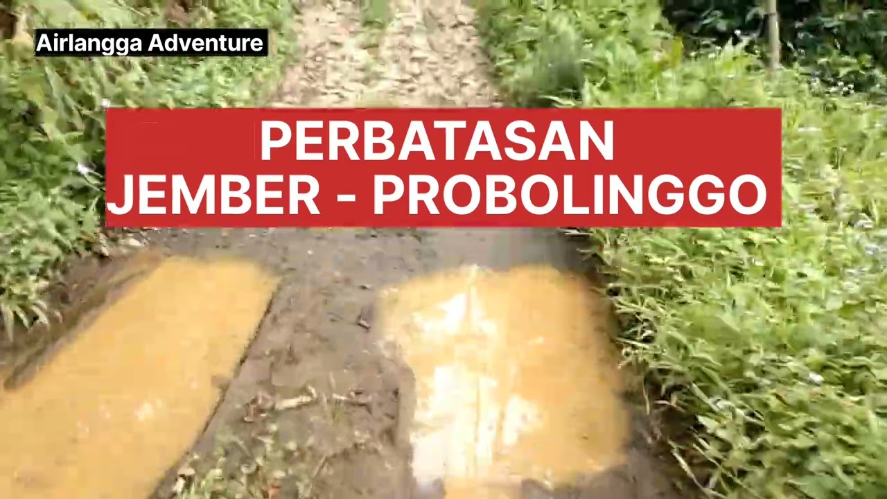 JALAN RAYA DARI SUMBER BARU JEMBER KE ANDUNGBIRU TIRIS PROBOLINGGO