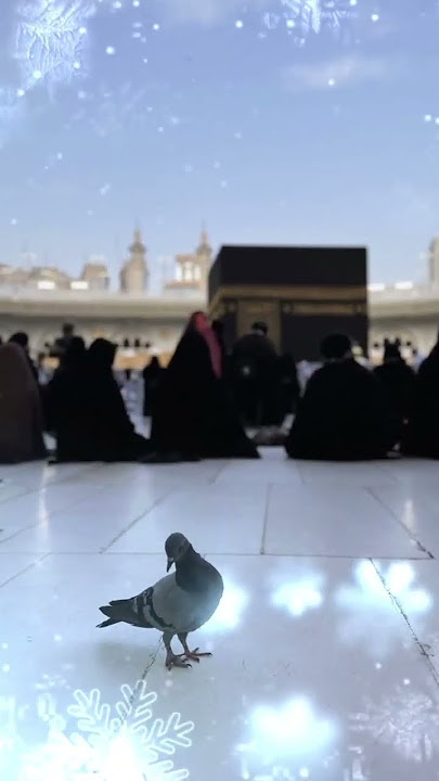 Rahman Ya Rahman ||💚🕋💫👀❤️||Naat||#viralvideo #viral #shorts #viralvideos #madina #trending #trend