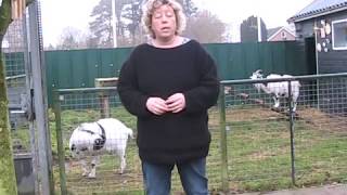 Harma Boer Weer Vr 23 Dec 2016