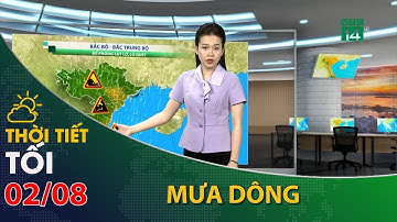 Thời tiết tối và đêm 02/08/2023:Bắc Bộ, Bắc Trung Bộ vẫn có mưa diện rộng | VTC14
