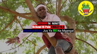 VICHEKESHO| CHALII YA R Katundikwa Mtini Na MGANGA| CHALII YA R Mpya| Timamu Comedy 2020| #Tanzania