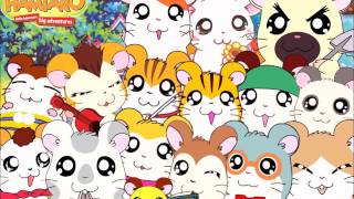 Video thumbnail of "Cristina D'Avena - Hamtaro, Piccoli Criceti Grandi Avventure"