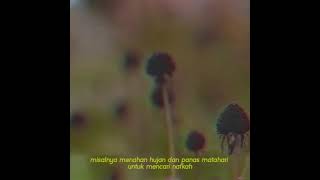 ⁣Tentang Suku Batak - Literasi Budaya