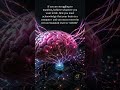 The 21-Day Overwrite: How to Grant Yourself "Root Access" to Reality