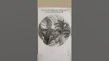 Day 12 of adding my followers to the wall of fame (Part 2)