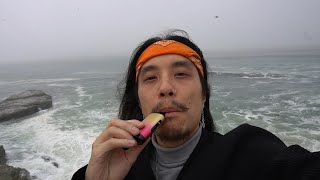 FADED IN SANTA CRUZ