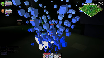 Cube World - Defeat the Ruler in Ruins of Durarior (Full Raid)